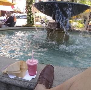 Meet your Posher, Bruce